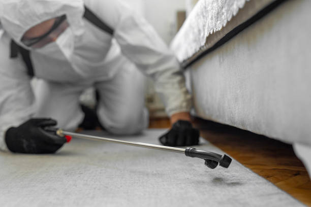Professional Termite Control technician working in Suamico, WI