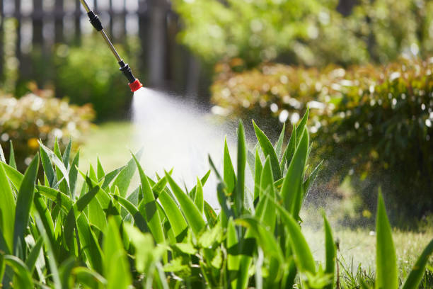 24/7 Emergency Termite Control experts in Suamico, WI